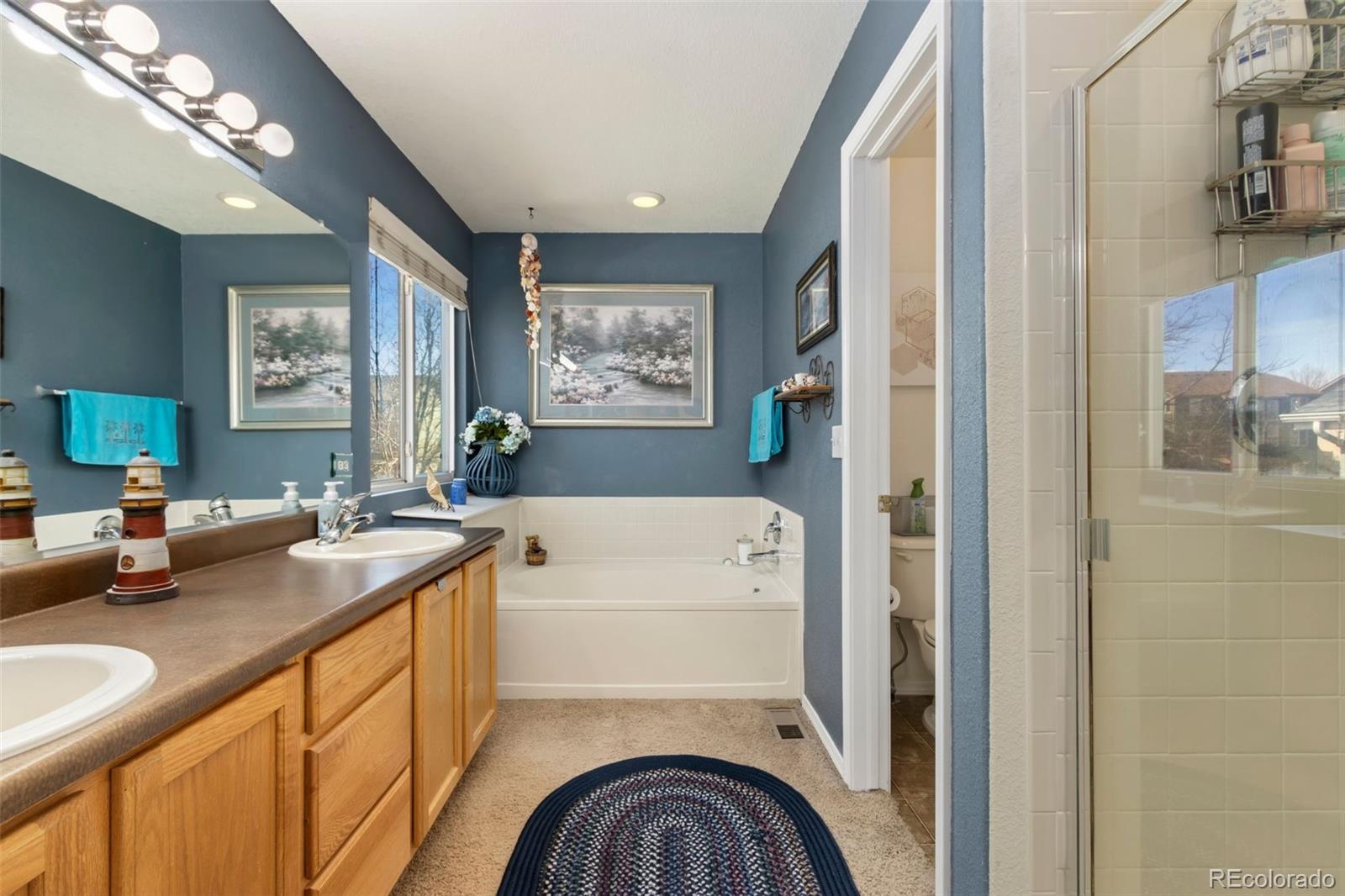 MLS Image #13 for 6280  snowberry avenue,firestone, Colorado