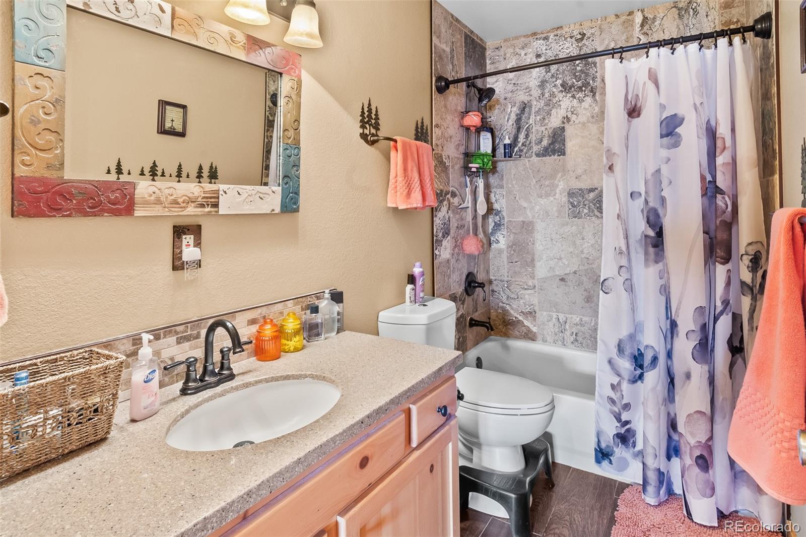 MLS Image #28 for 612  sheep ridge road,fairplay, Colorado