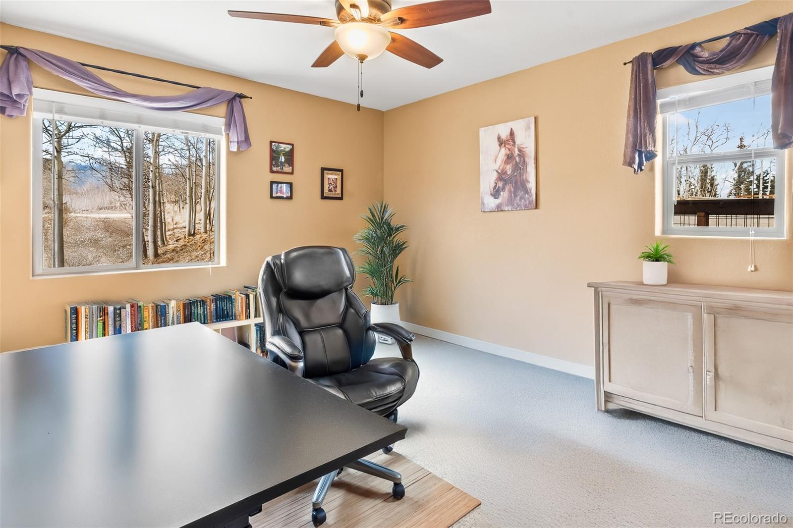 MLS Image #29 for 612  sheep ridge road,fairplay, Colorado