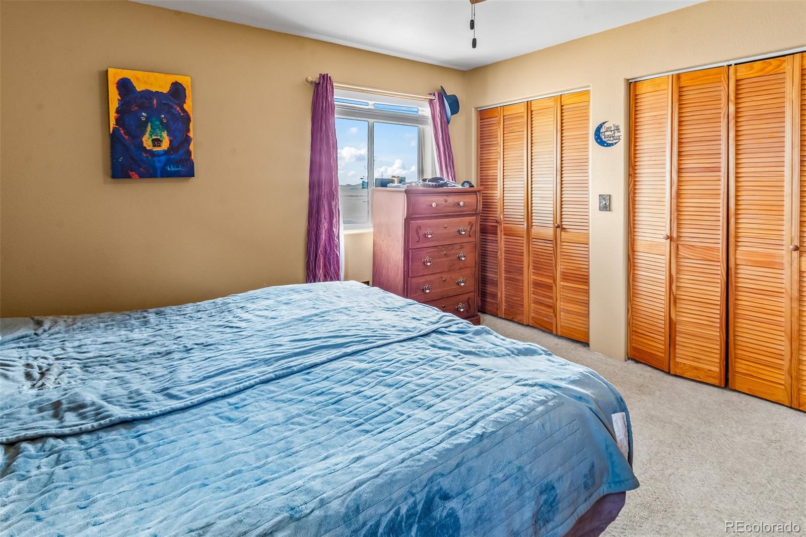 MLS Image #31 for 612  sheep ridge road,fairplay, Colorado