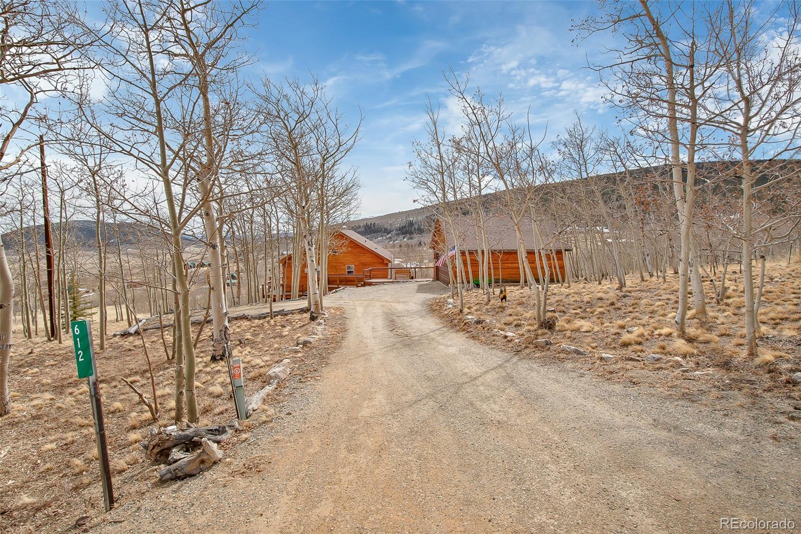 MLS Image #5 for 612  sheep ridge road,fairplay, Colorado
