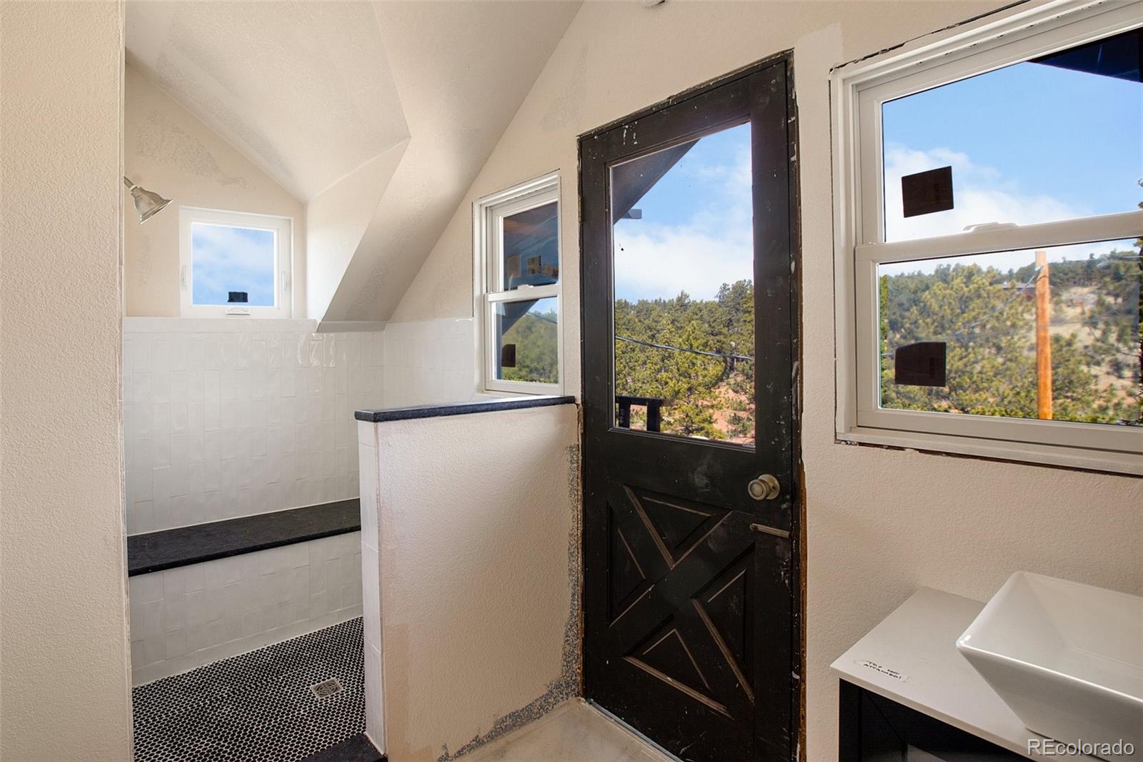 MLS Image #33 for 1084  circle drive,florissant, Colorado