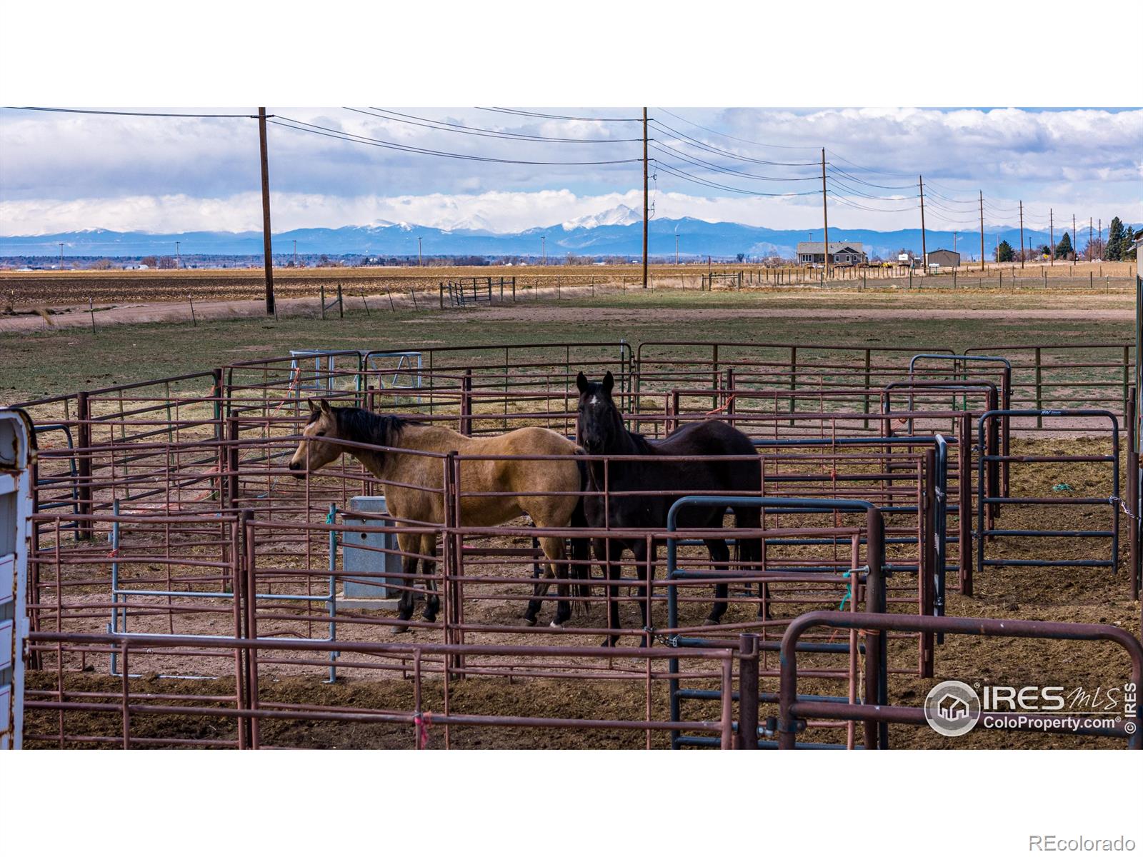 MLS Image #14 for 25146  grandview way,greeley, Colorado
