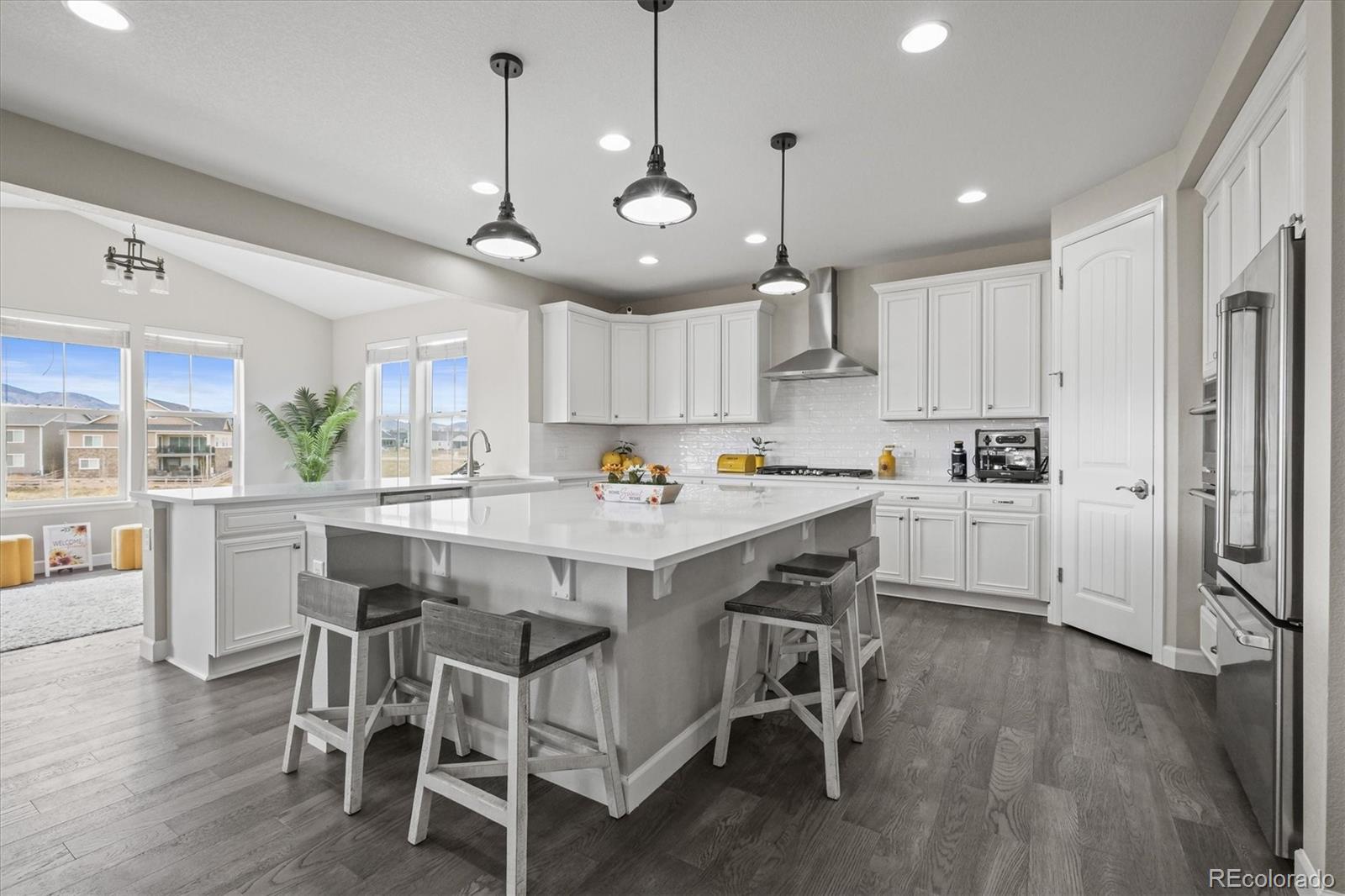 MLS Image #11 for 9021  swan river street,littleton, Colorado