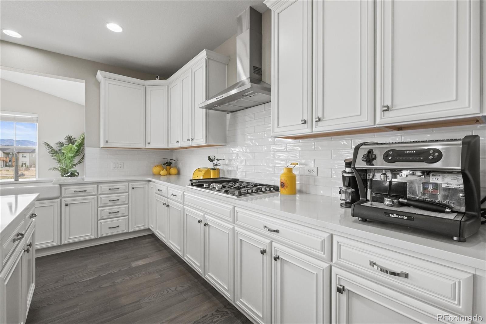 MLS Image #13 for 9021  swan river street,littleton, Colorado