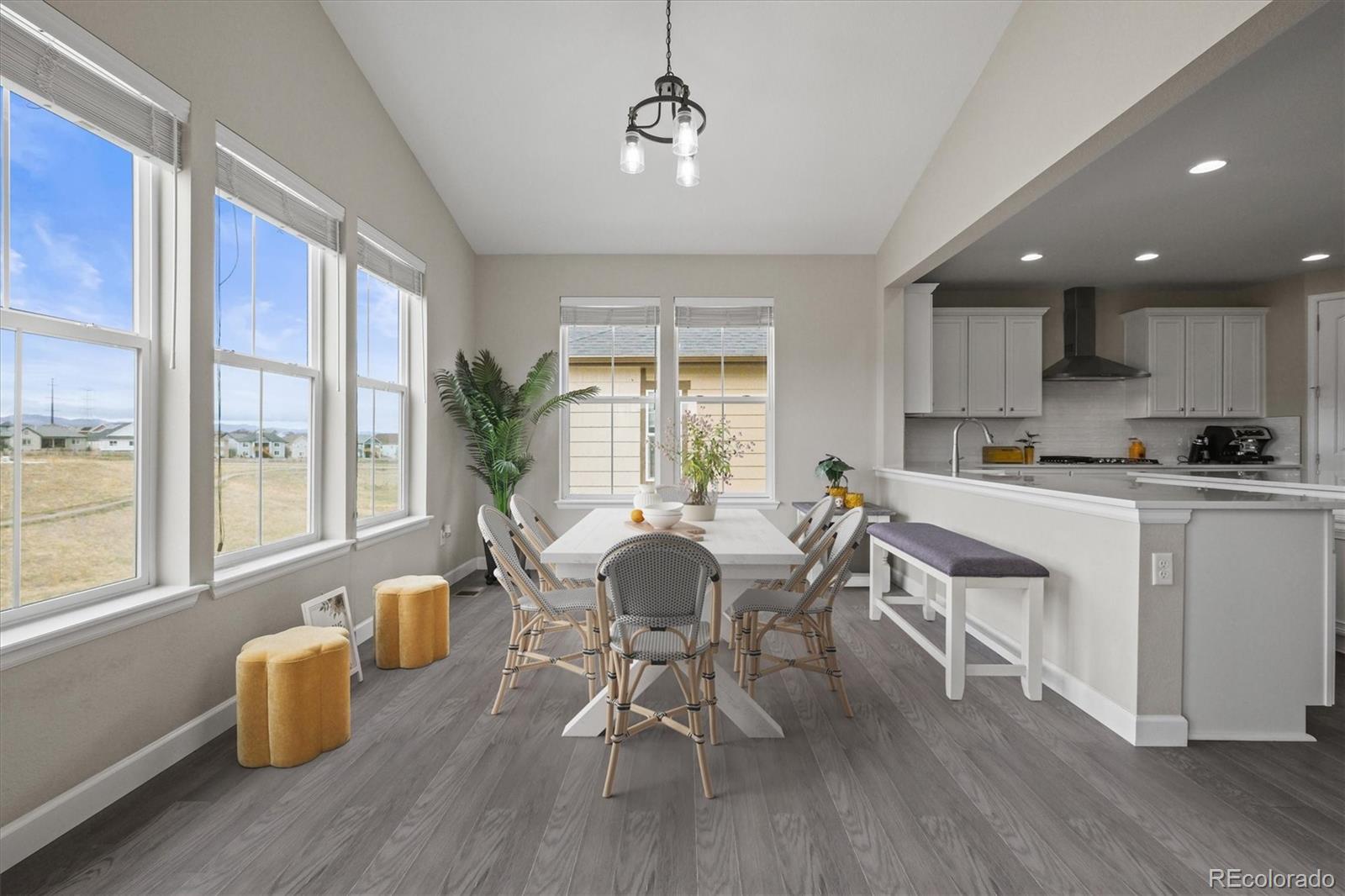 MLS Image #15 for 9021  swan river street,littleton, Colorado