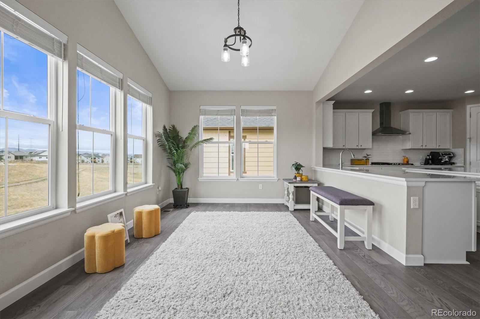 MLS Image #16 for 9021  swan river street,littleton, Colorado