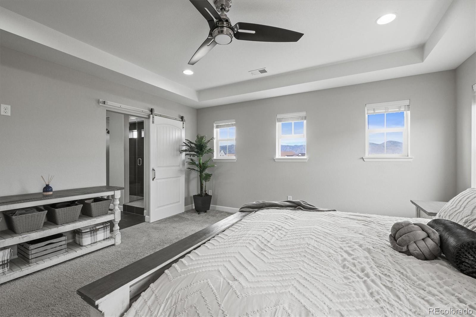 MLS Image #28 for 9021  swan river street,littleton, Colorado