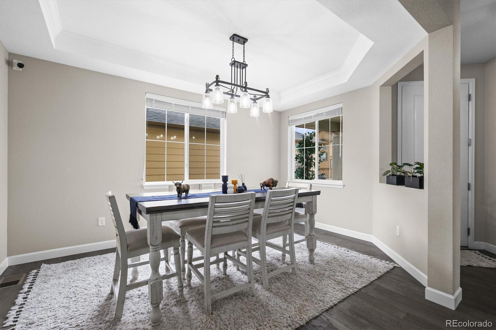 MLS Image #3 for 9021  swan river street,littleton, Colorado