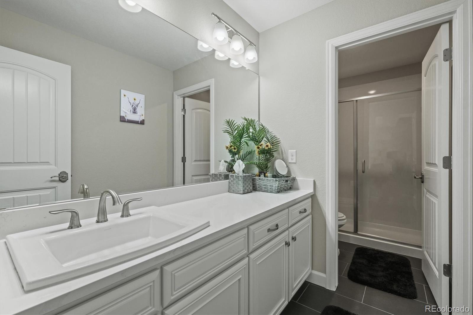 MLS Image #36 for 9021  swan river street,littleton, Colorado