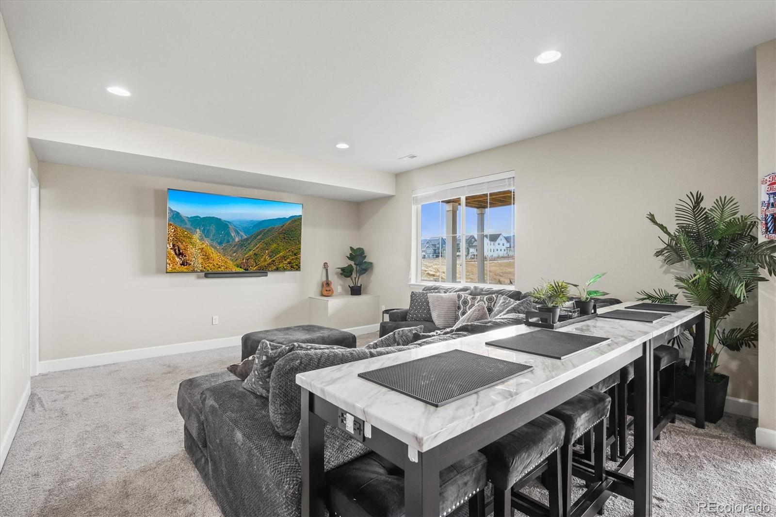 MLS Image #44 for 9021  swan river street,littleton, Colorado