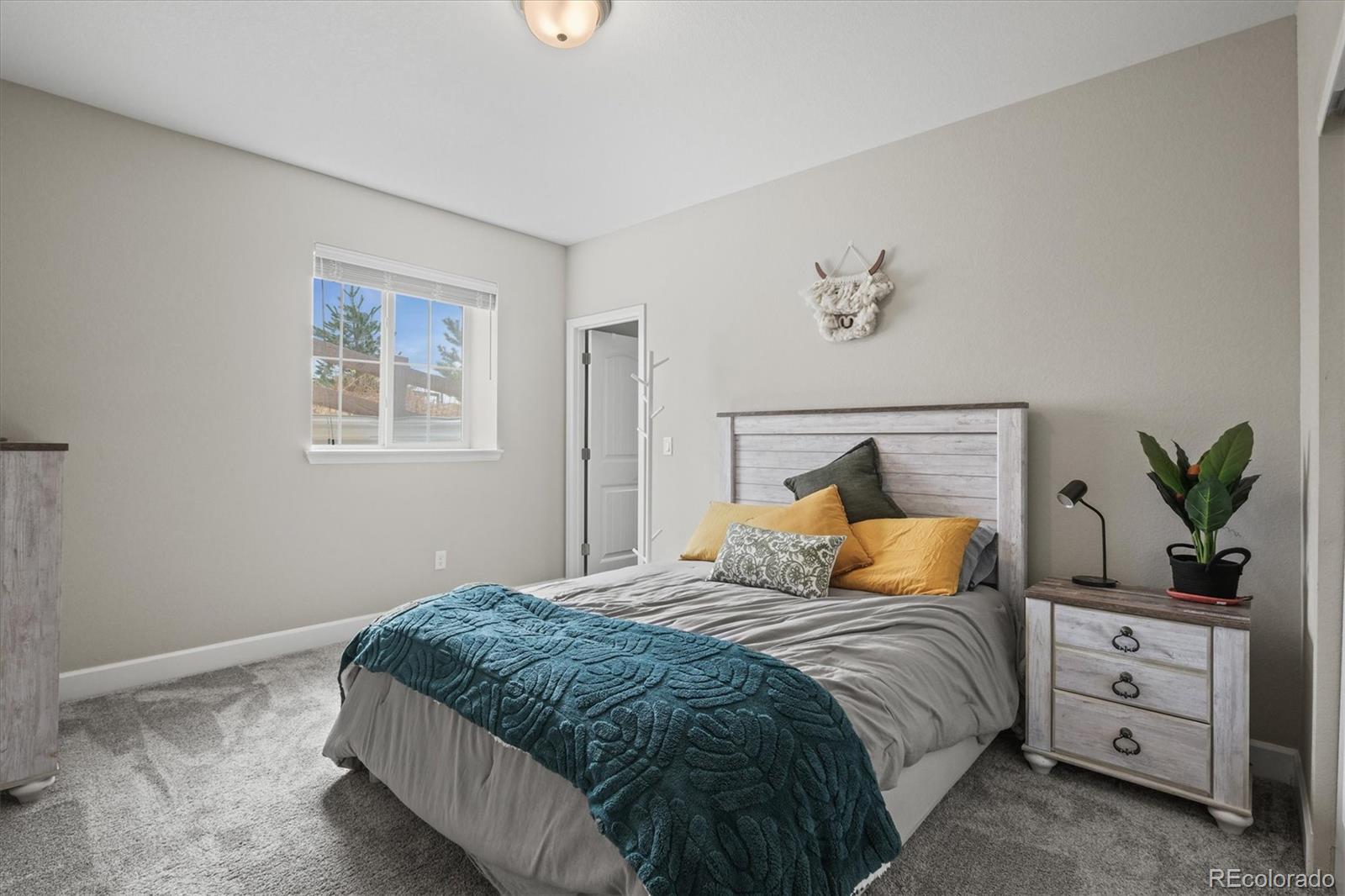 MLS Image #49 for 9021  swan river street,littleton, Colorado