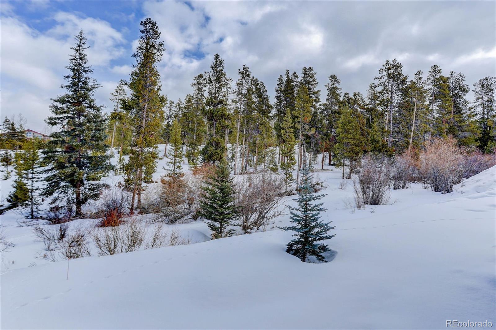 MLS Image #32 for 47  county road 834 ,fraser, Colorado