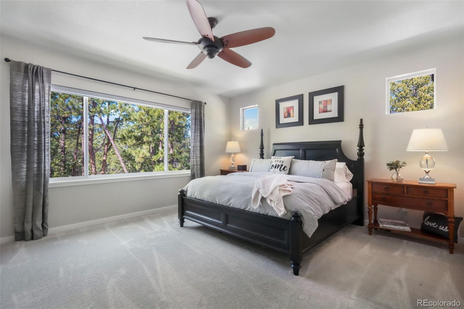 MLS Image #21 for 16224  sunrise glory lane,colorado springs, Colorado