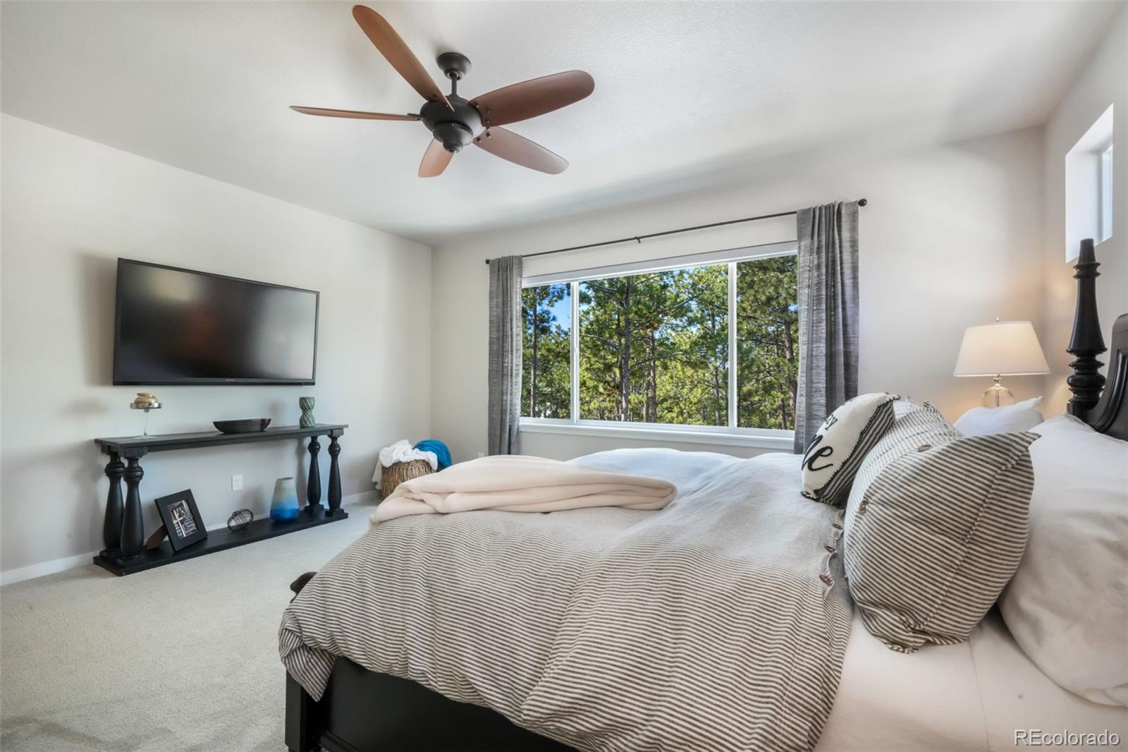 MLS Image #22 for 16224  sunrise glory lane,colorado springs, Colorado