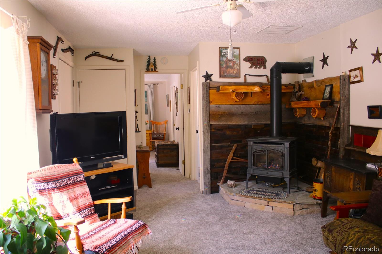 MLS Image #12 for 429  road p53 ,bailey, Colorado