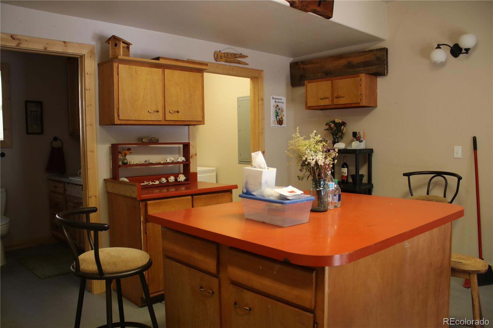 MLS Image #17 for 429  road p53 ,bailey, Colorado