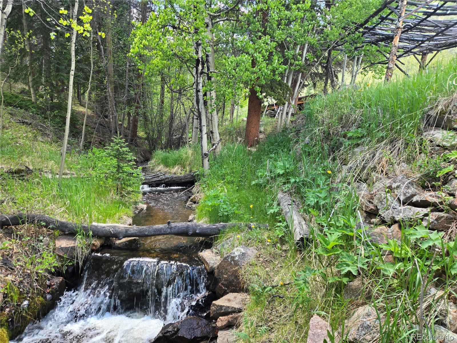 MLS Image #26 for 429  road p53 ,bailey, Colorado