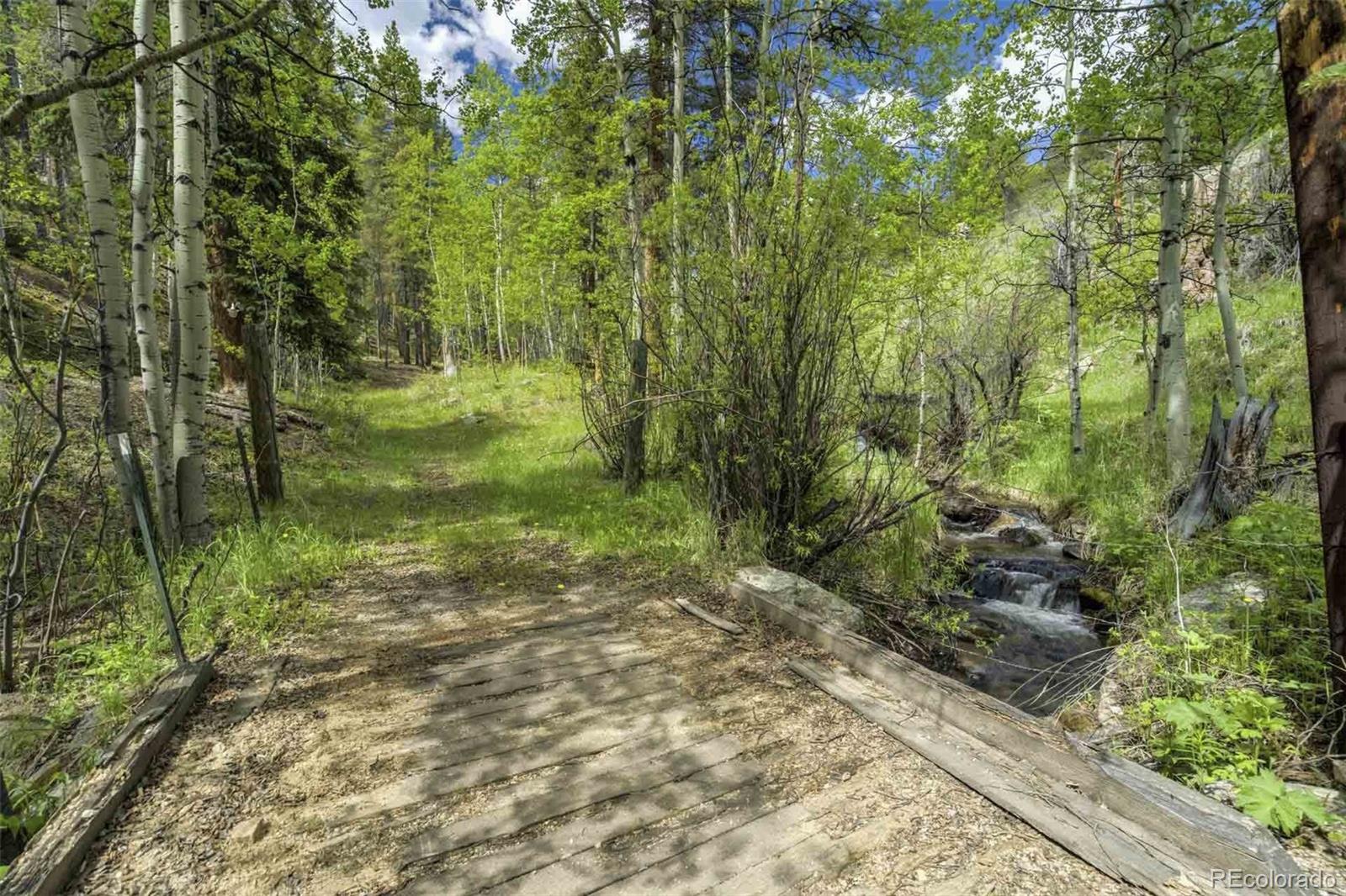 MLS Image #46 for 429  road p53 ,bailey, Colorado