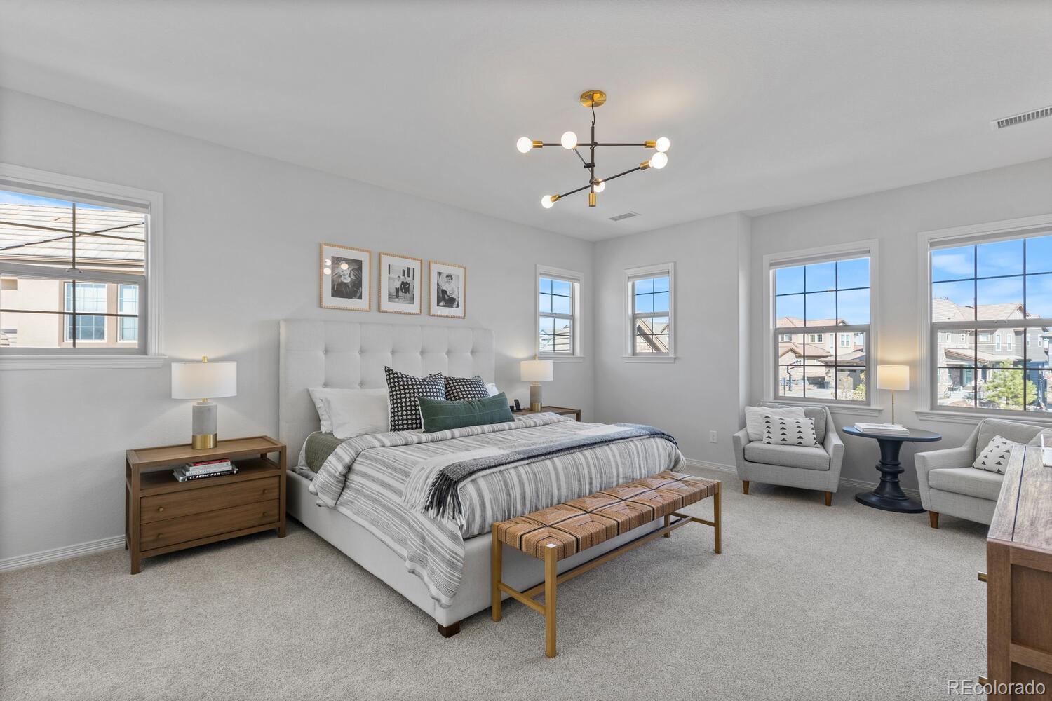 MLS Image #27 for 1240  starglow place,highlands ranch, Colorado