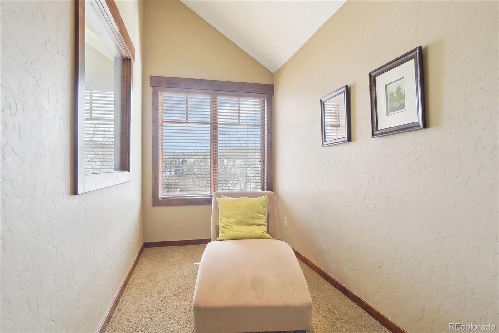 MLS Image #19 for 50b  county road 1293 ,silverthorne, Colorado