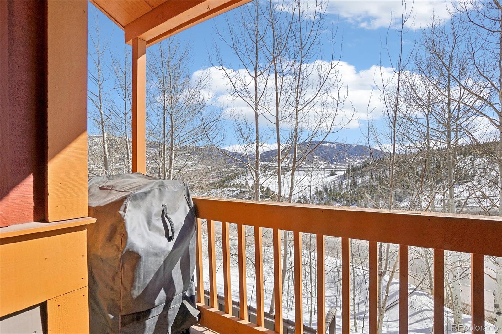 MLS Image #37 for 50b  county road 1293 ,silverthorne, Colorado