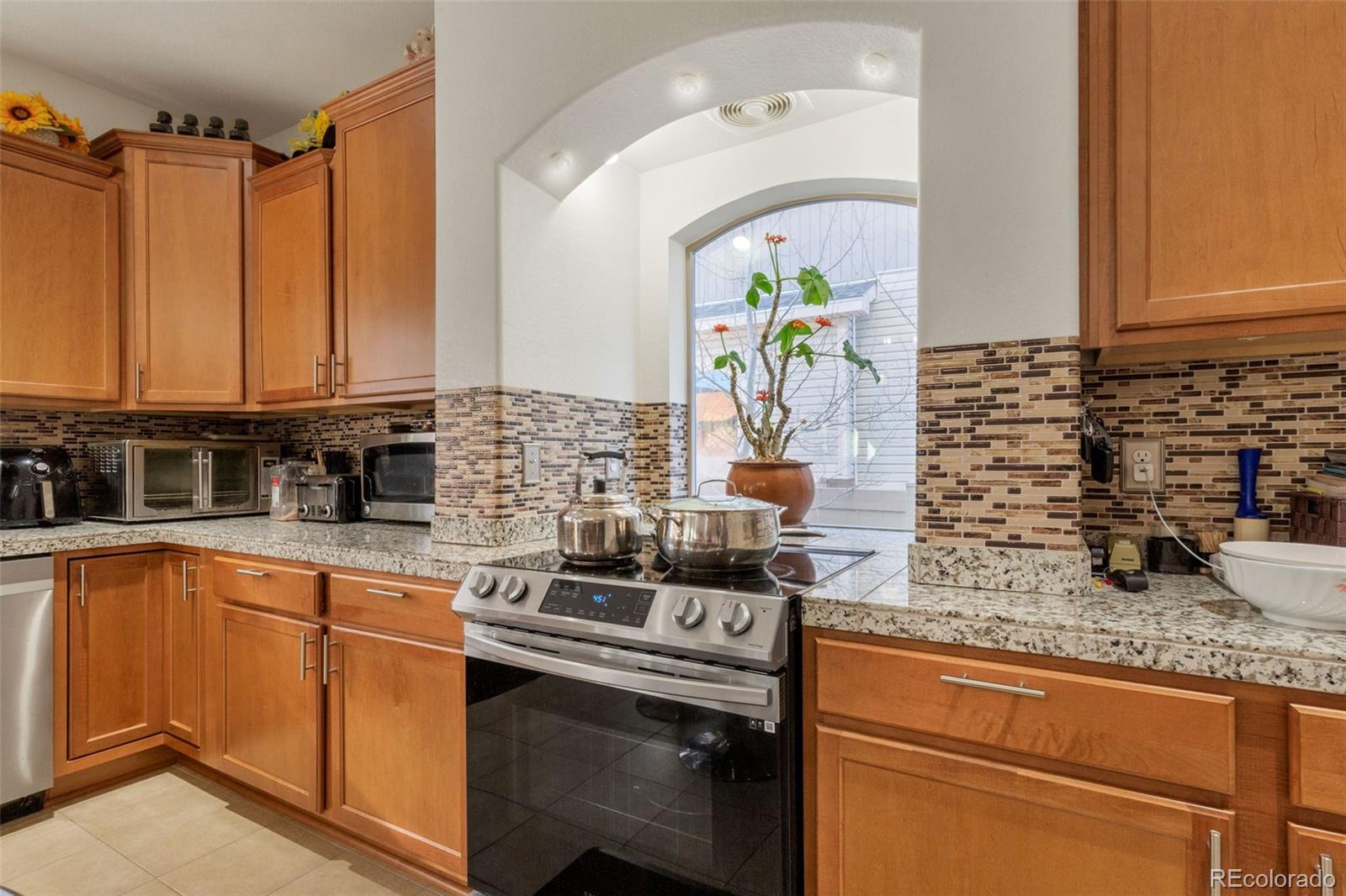 MLS Image #12 for 18090 e 47th drive,denver, Colorado