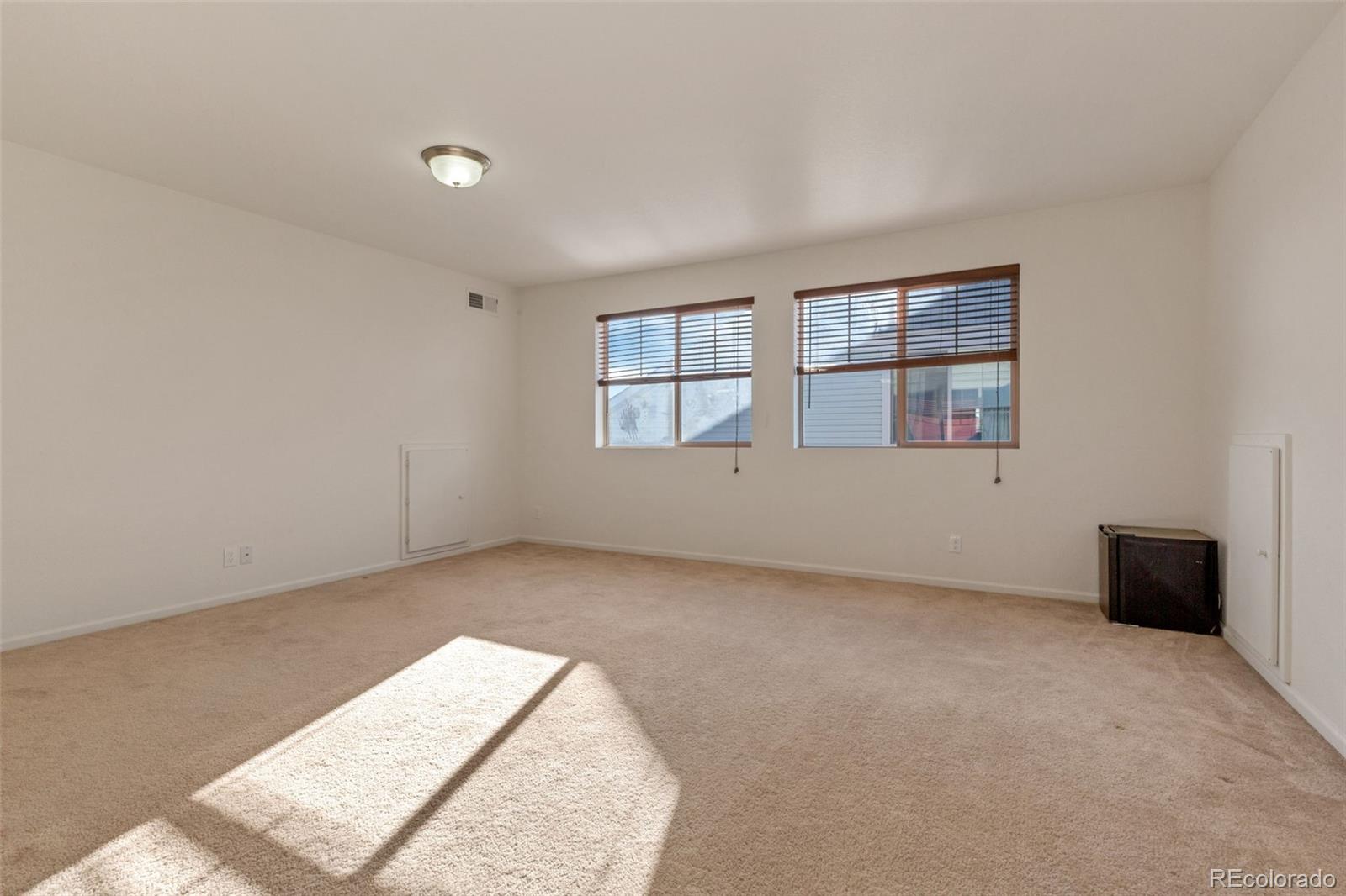 MLS Image #24 for 18090 e 47th drive,denver, Colorado