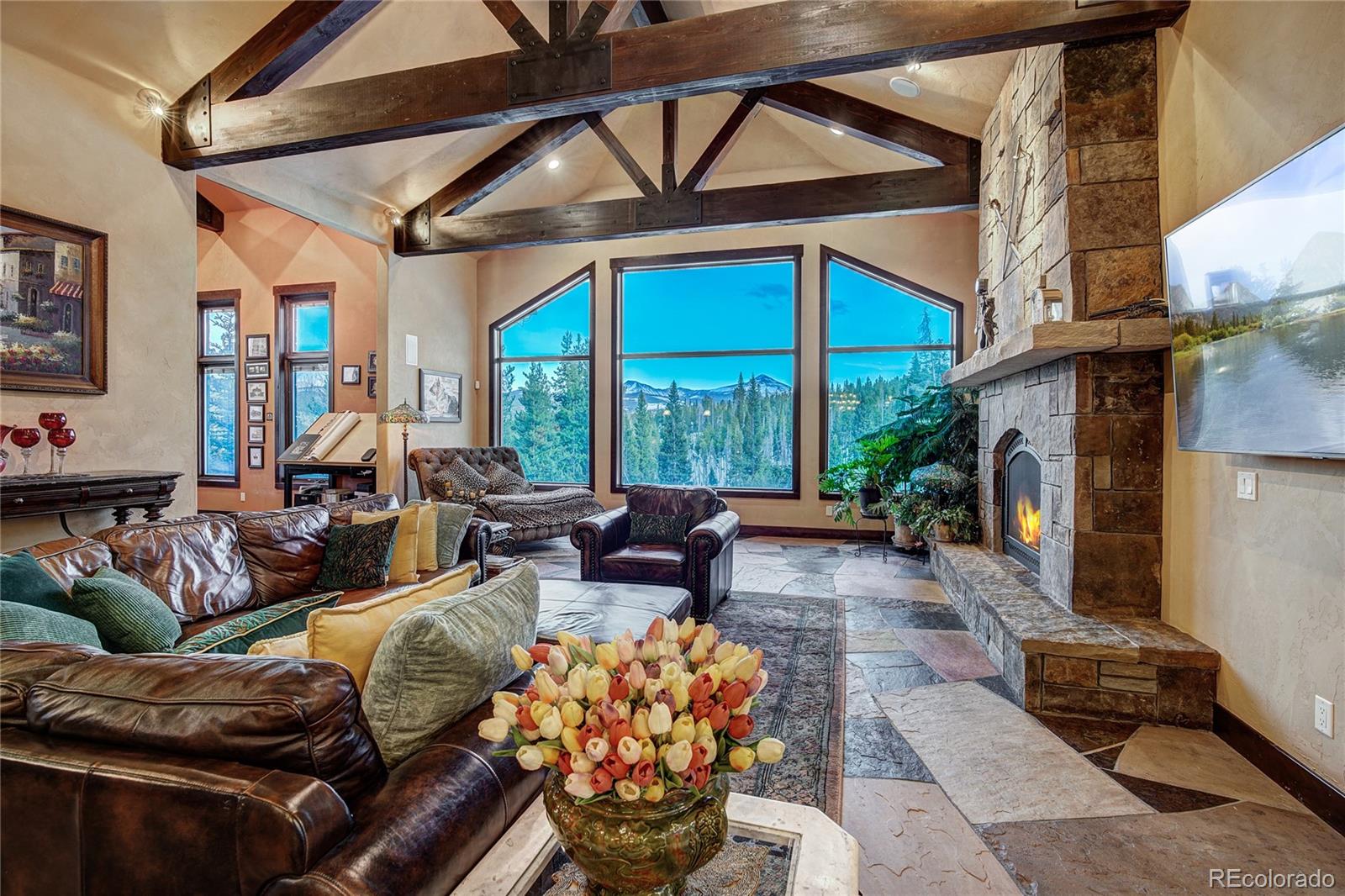 MLS Image #20 for 118  gold piece drive,breckenridge, Colorado
