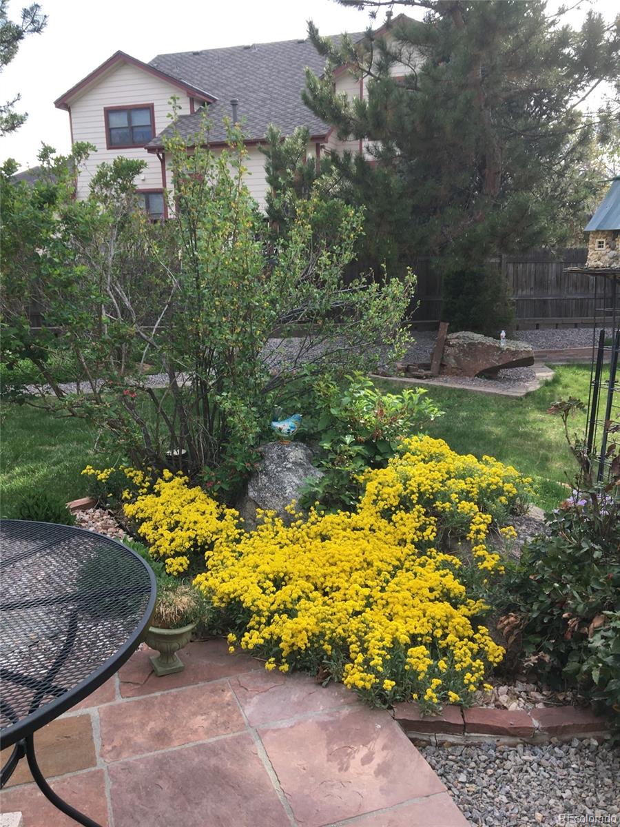 MLS Image #47 for 5461 s youngfield court,littleton, Colorado