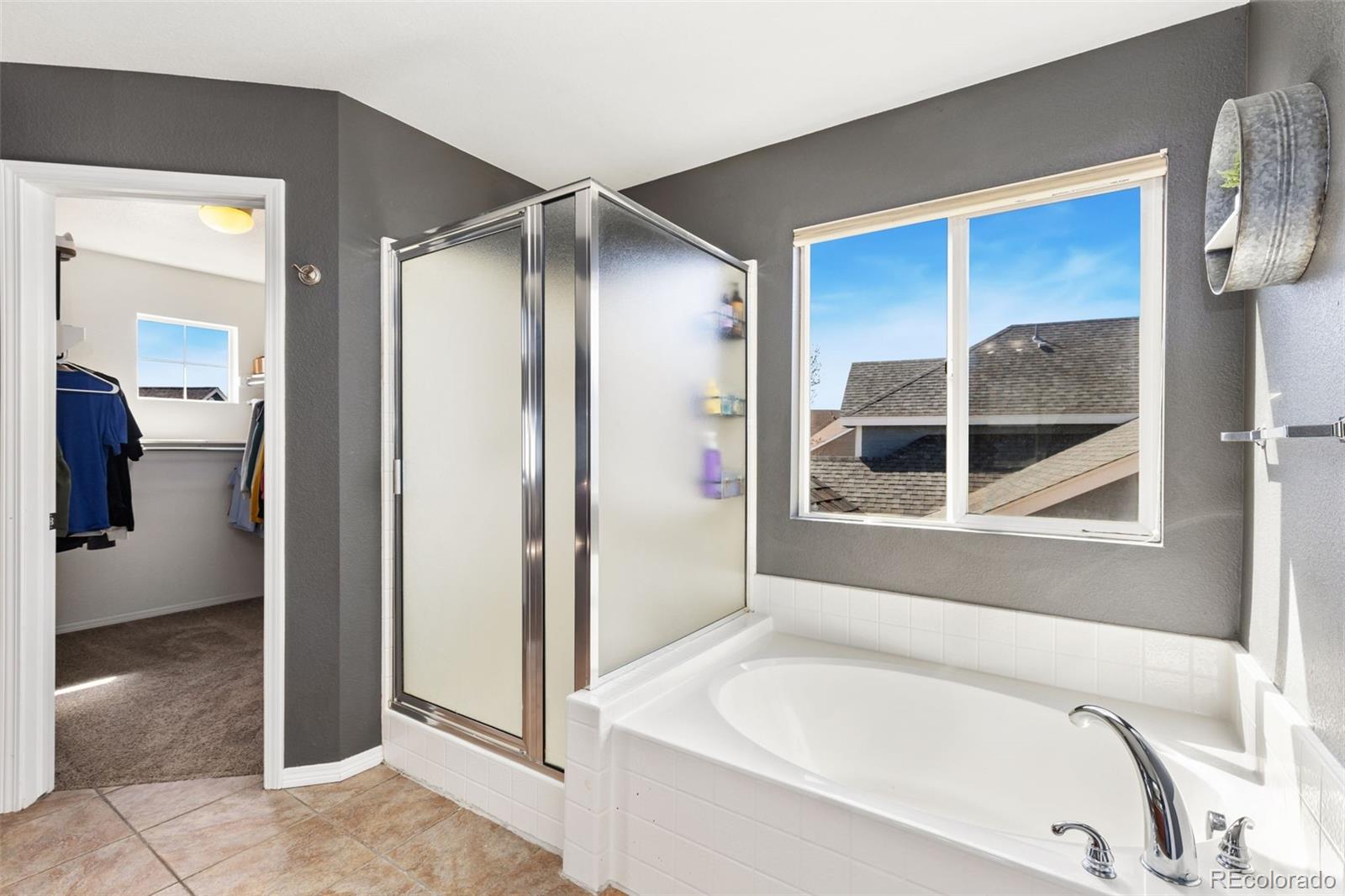 MLS Image #17 for 645  short court,dacono, Colorado