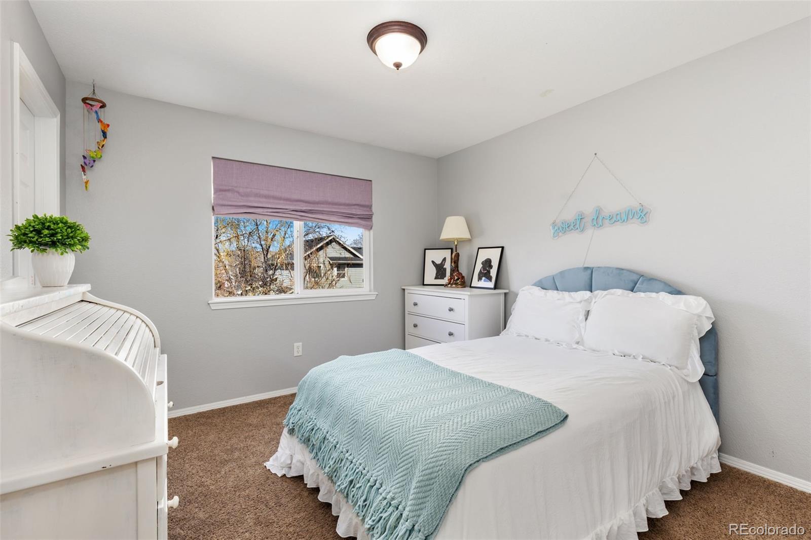MLS Image #18 for 645  short court,dacono, Colorado