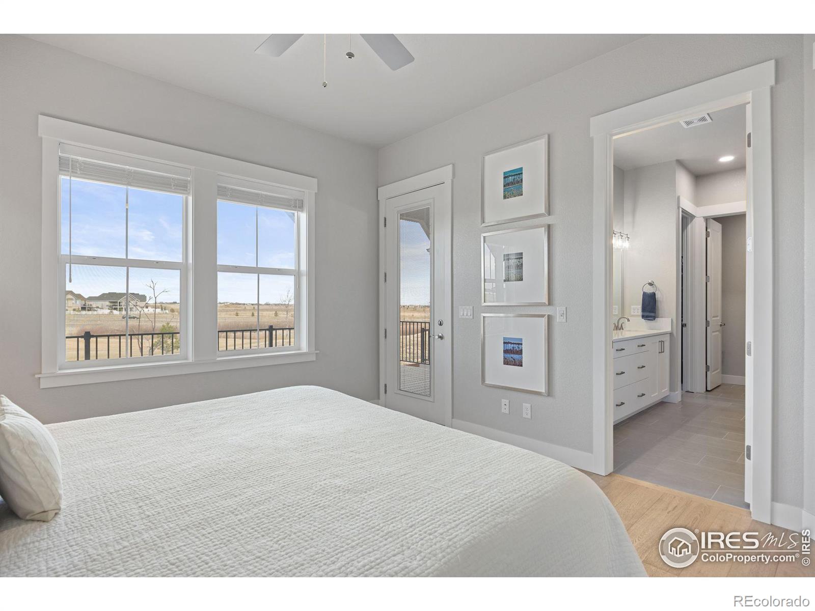 MLS Image #13 for 4272  ardglass lane,timnath, Colorado