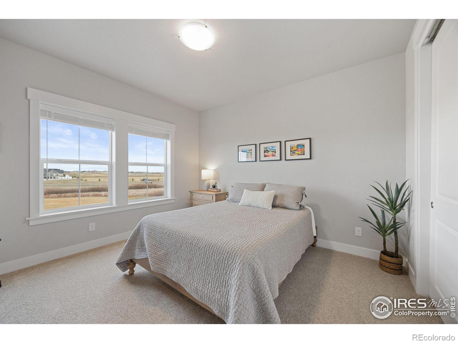 MLS Image #21 for 4272  ardglass lane,timnath, Colorado