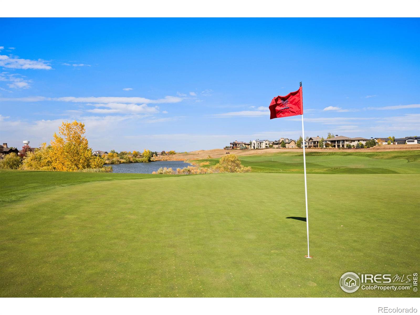 MLS Image #31 for 4272  ardglass lane,timnath, Colorado