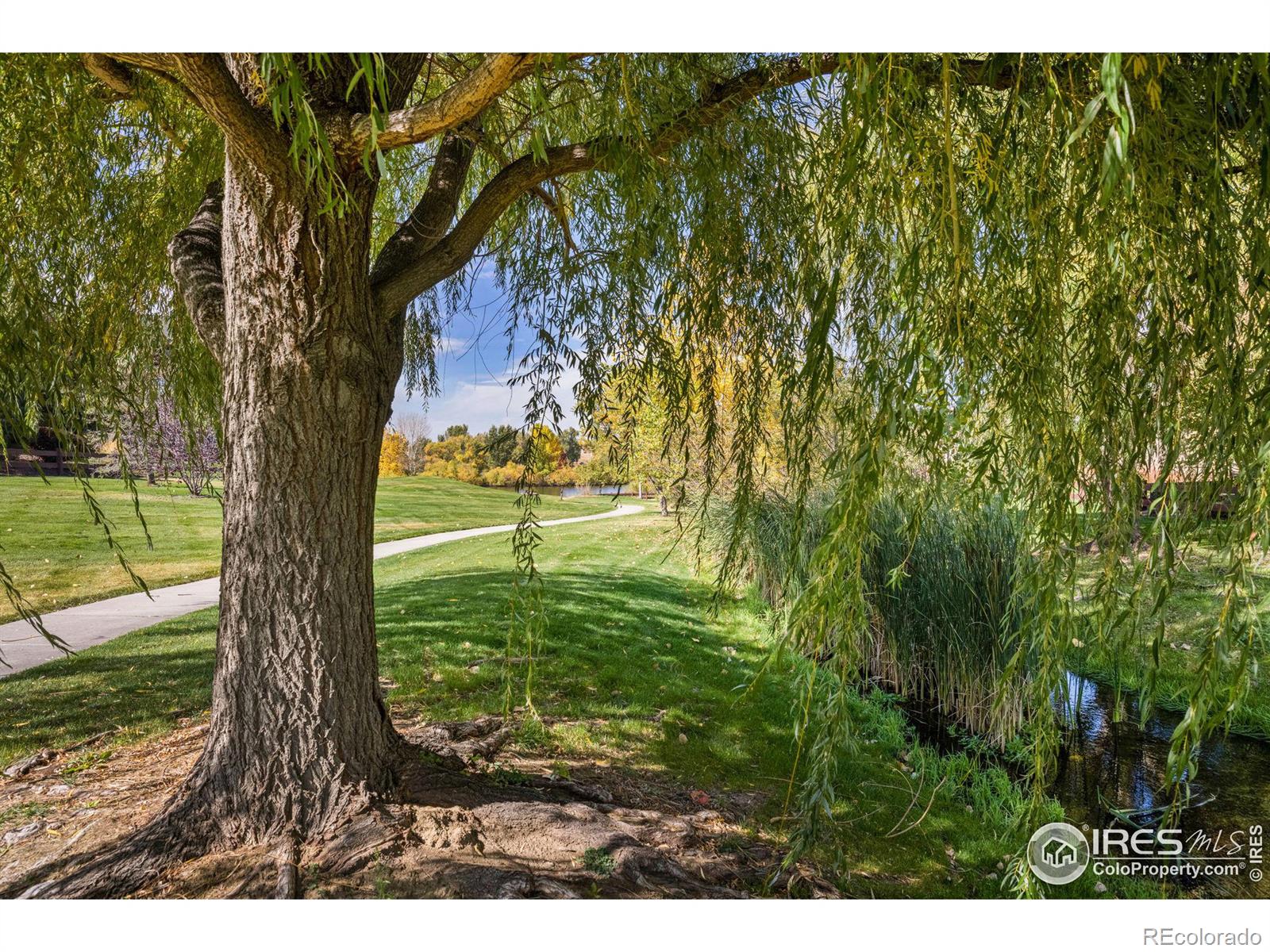 MLS Image #38 for 4272  ardglass lane,timnath, Colorado