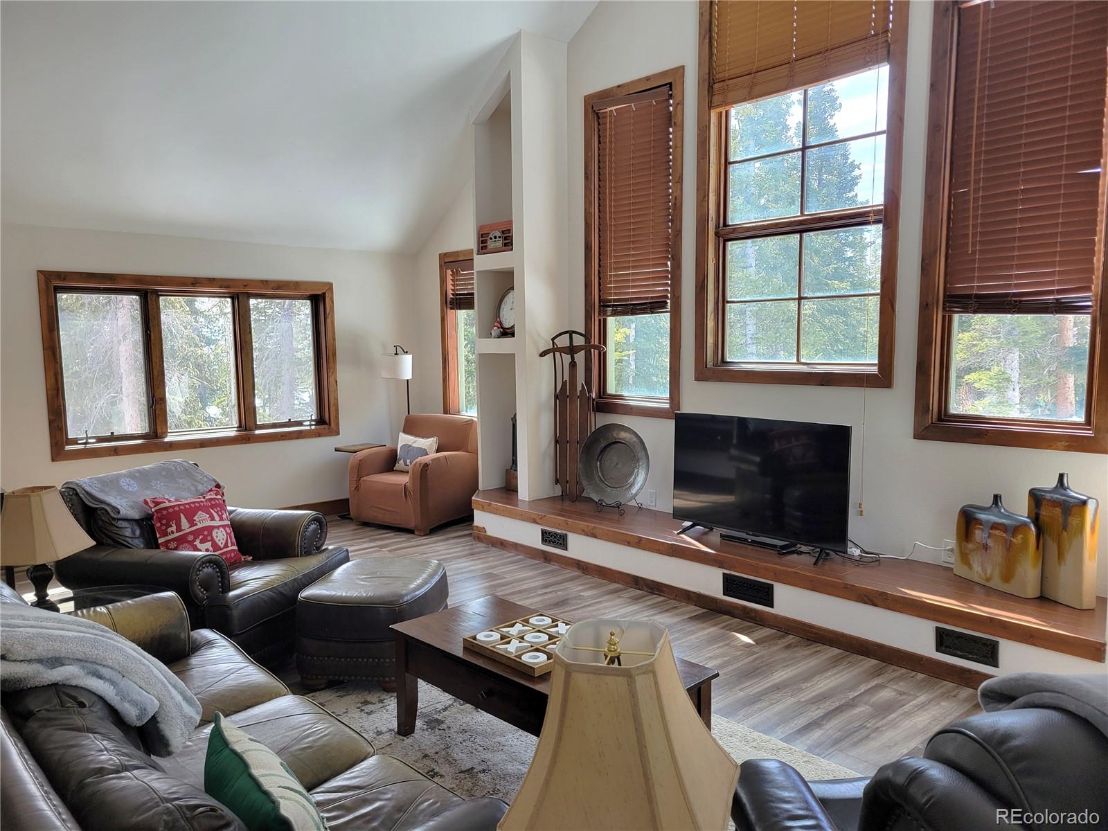 MLS Image #1 for 1561  prunes place,fairplay, Colorado