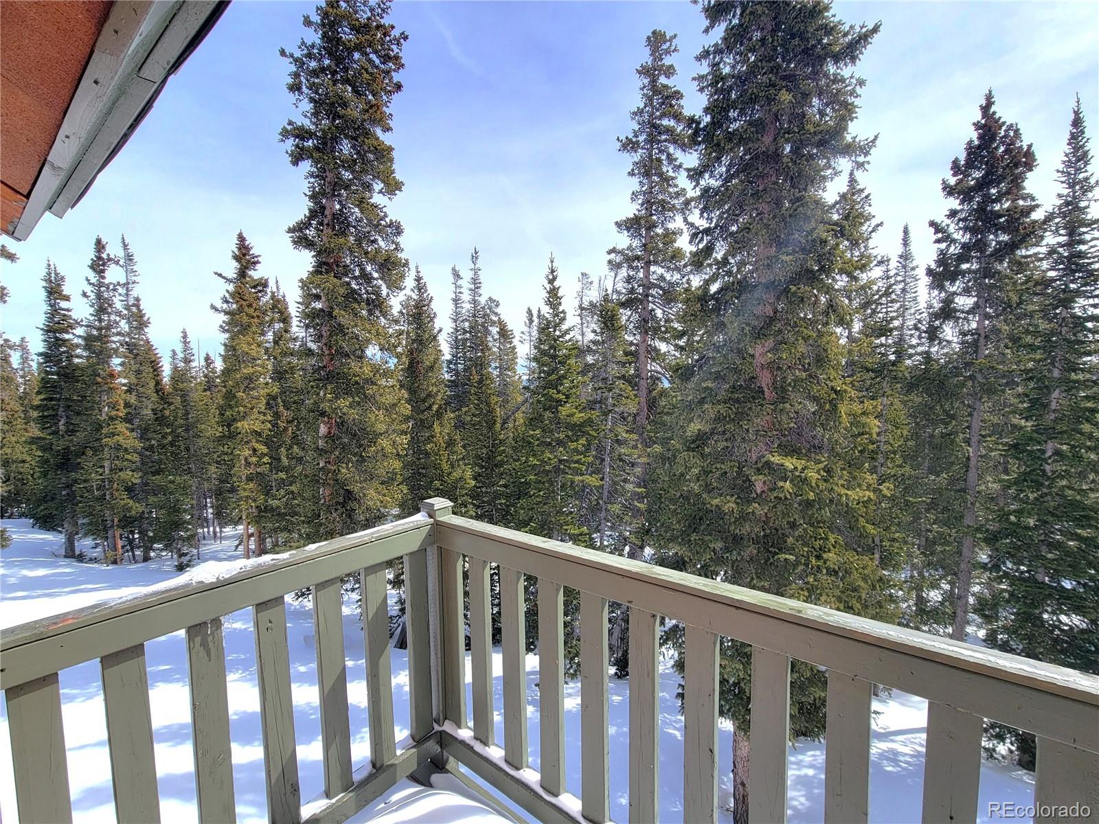 MLS Image #16 for 1561  prunes place,fairplay, Colorado