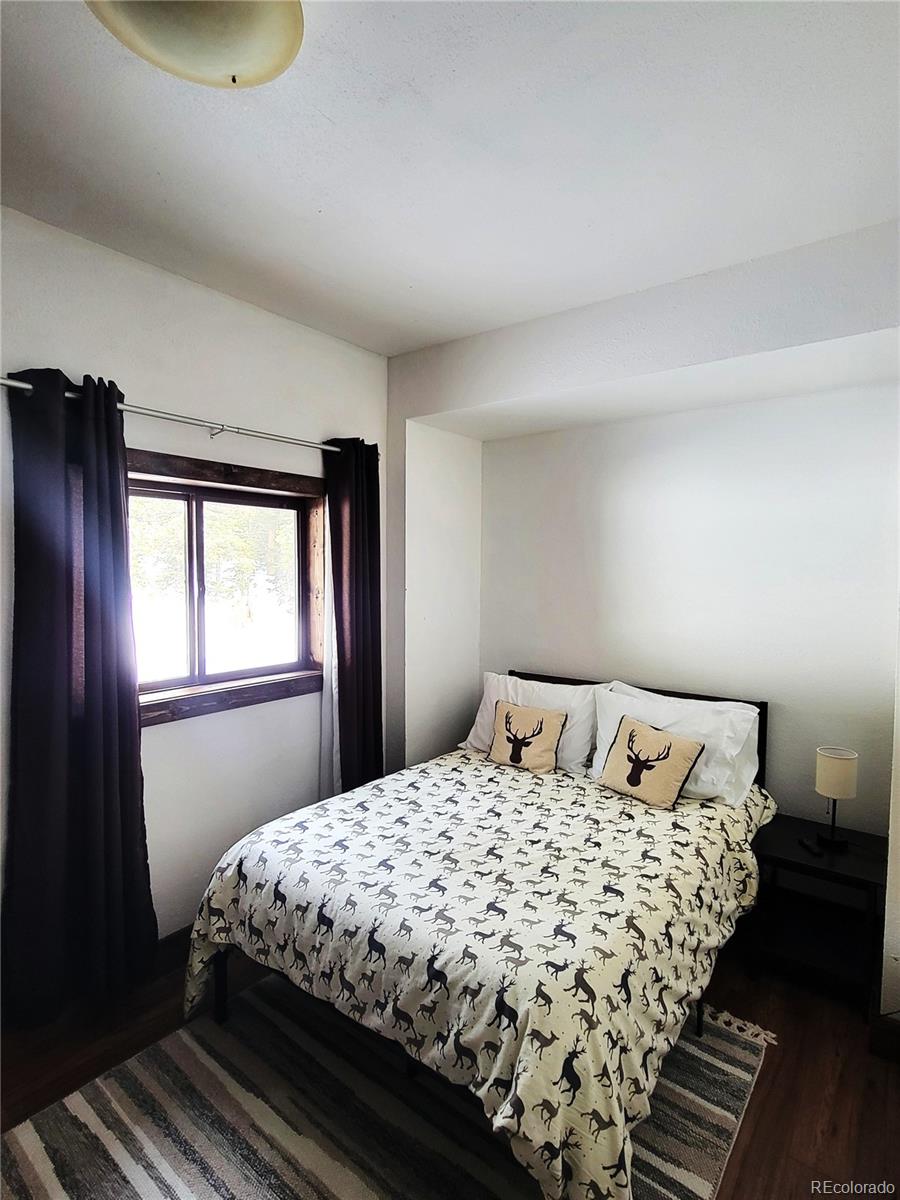 MLS Image #23 for 1561  prunes place,fairplay, Colorado