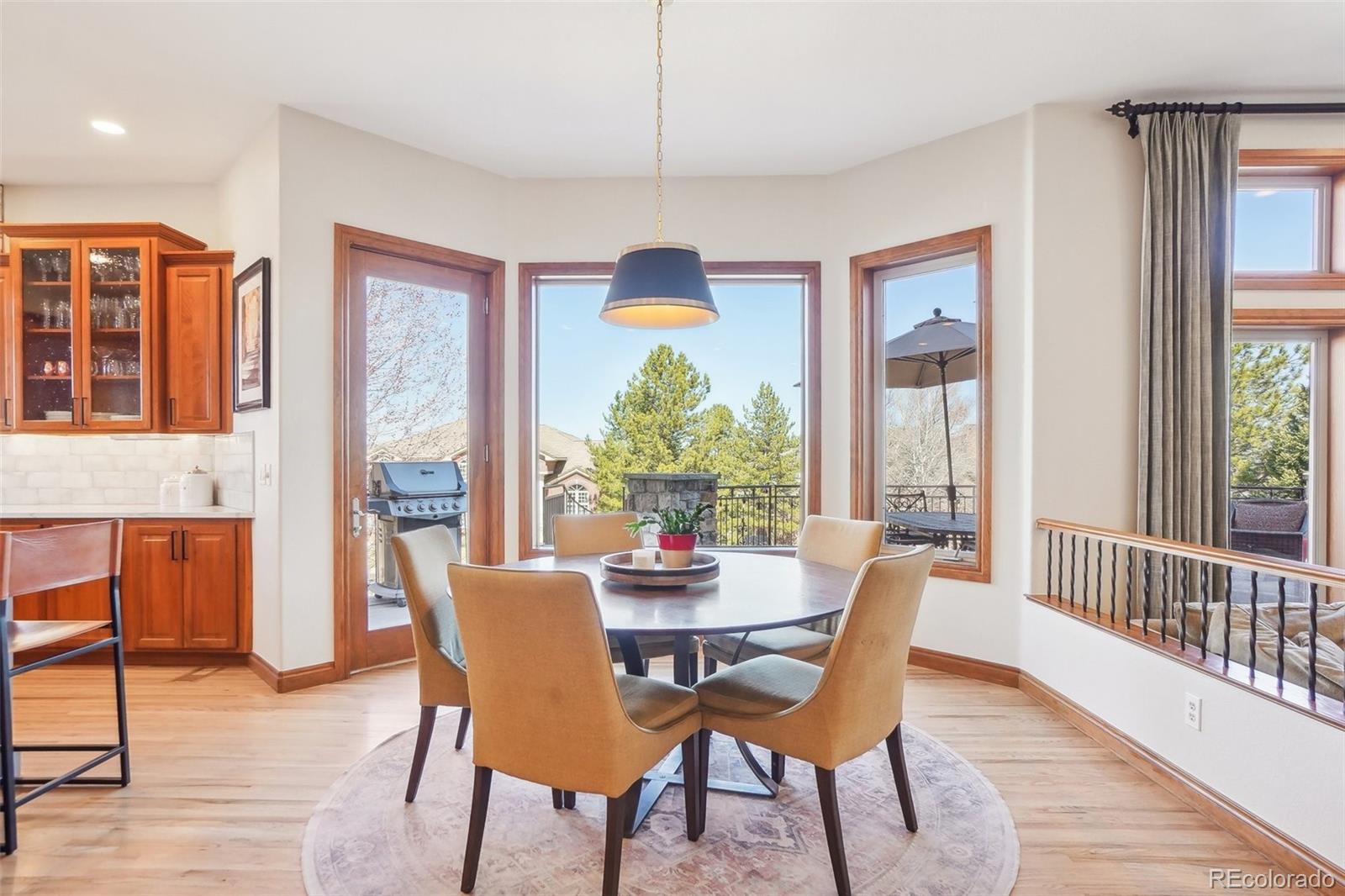 MLS Image #14 for 817  fairchild drive,highlands ranch, Colorado