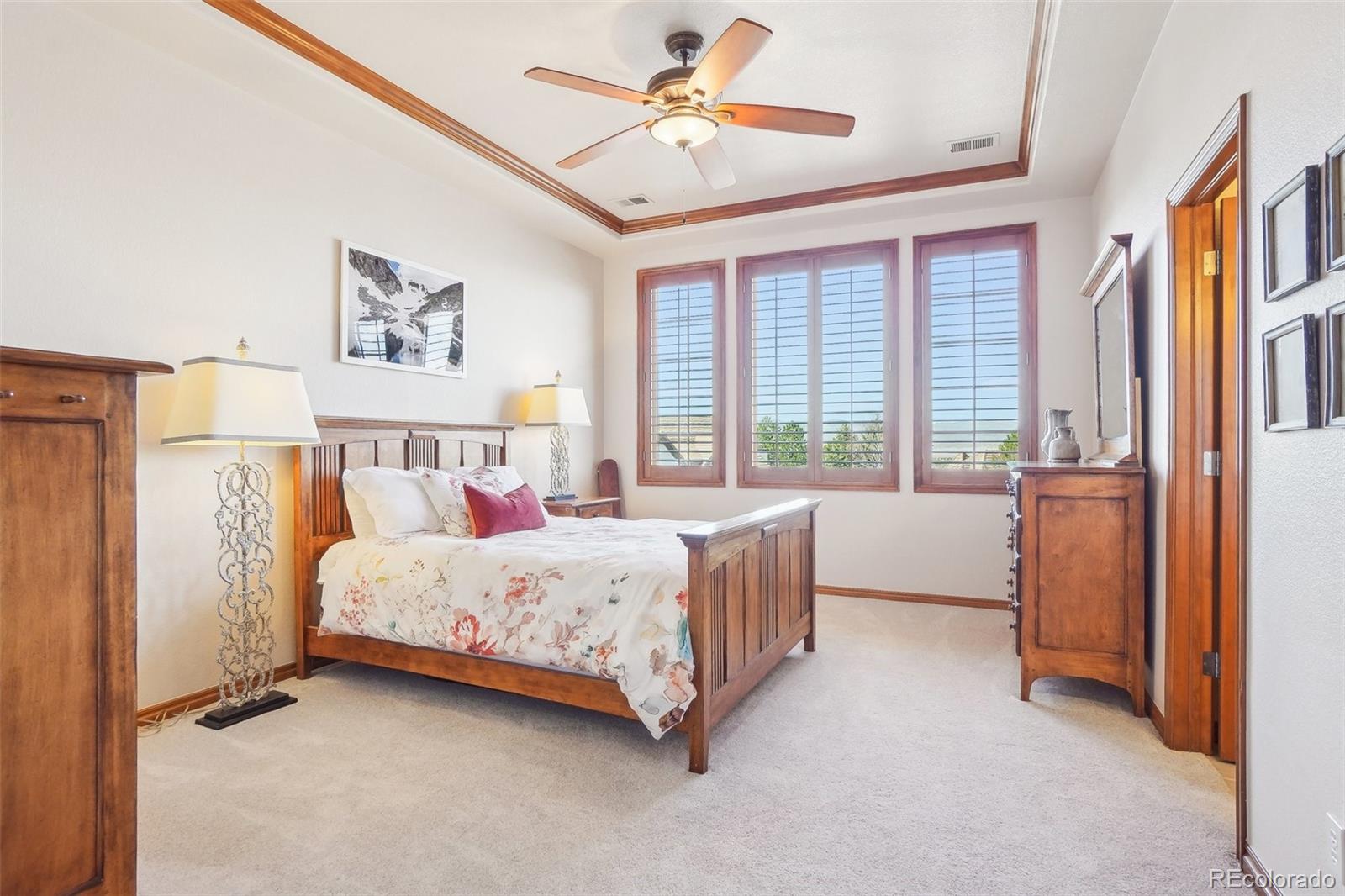 MLS Image #31 for 817  fairchild drive,highlands ranch, Colorado