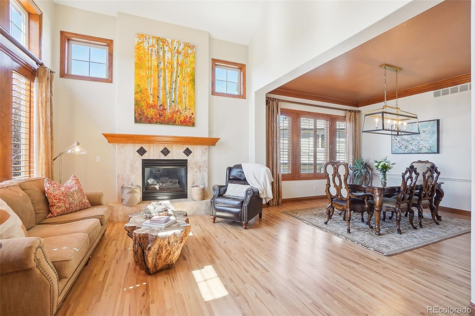 MLS Image #5 for 817  fairchild drive,highlands ranch, Colorado