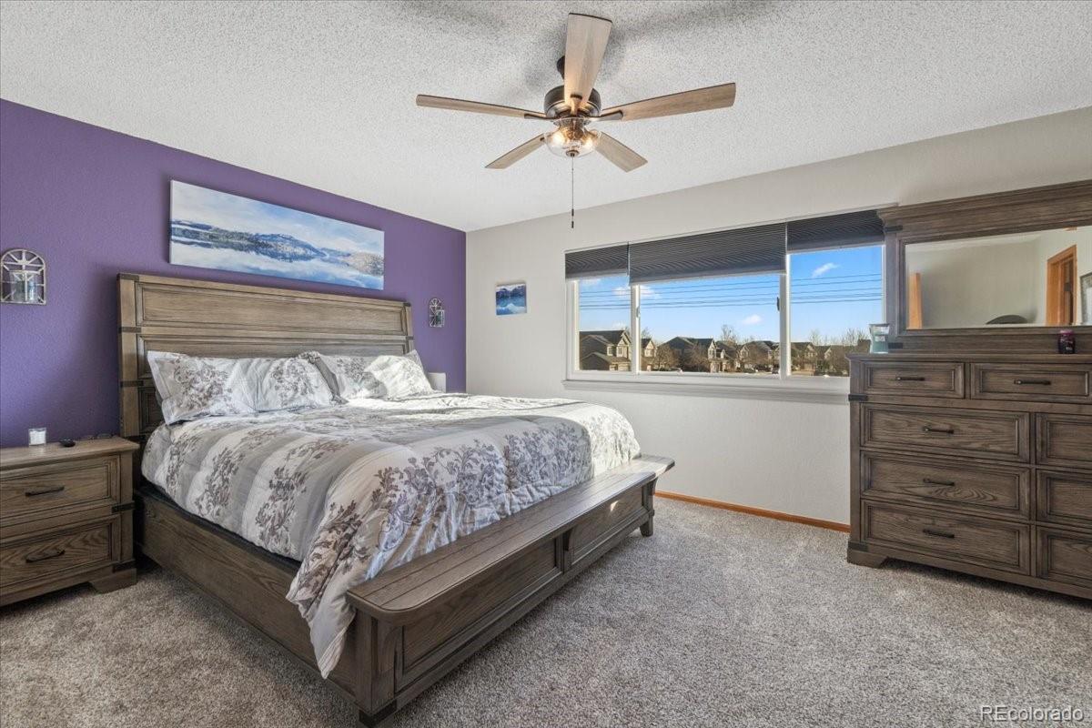 MLS Image #13 for 180 s carlton street,castle rock, Colorado