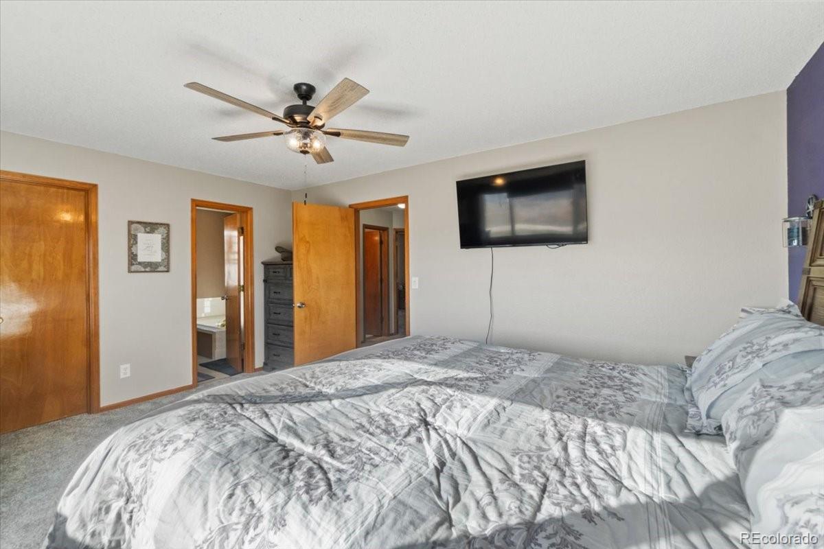 MLS Image #14 for 180 s carlton street,castle rock, Colorado