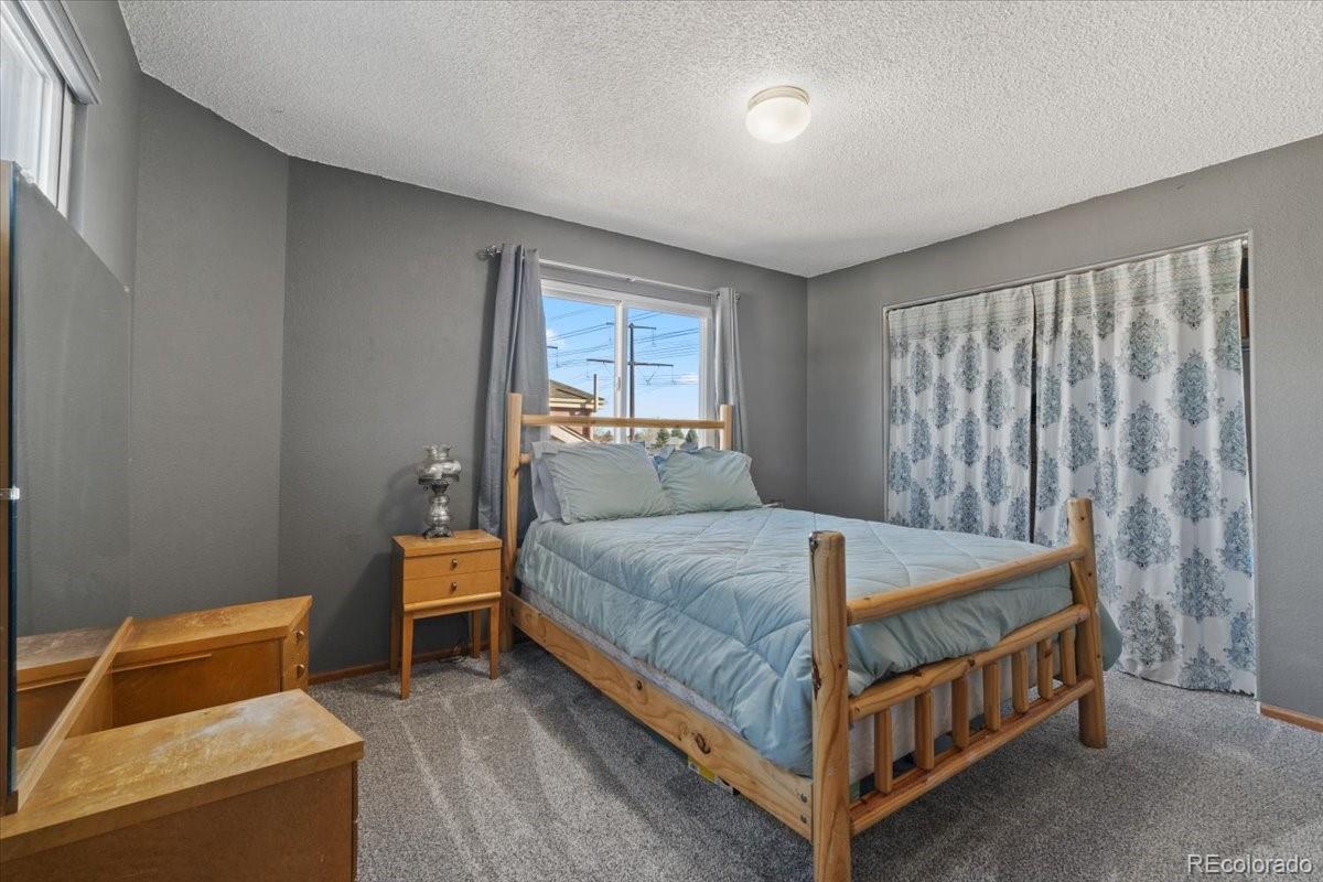 MLS Image #17 for 180 s carlton street,castle rock, Colorado