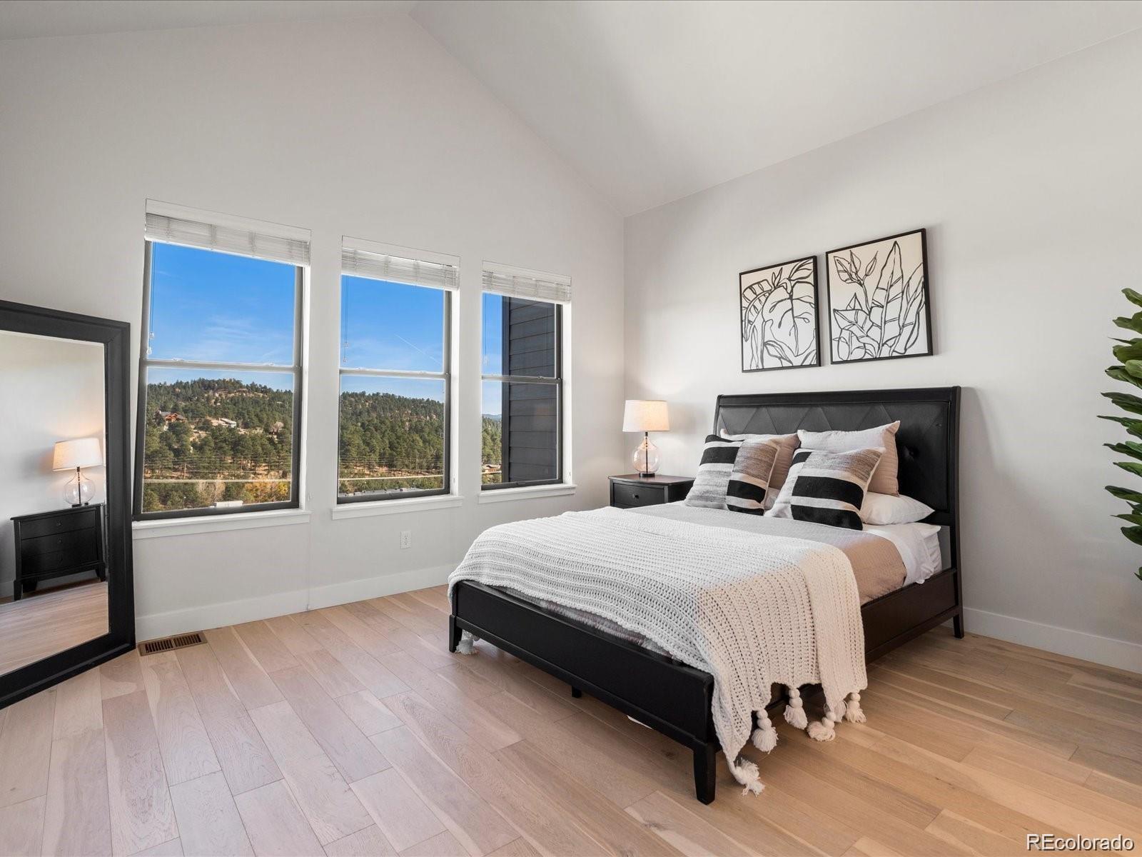 MLS Image #20 for 3909  piney grove street,evergreen, Colorado