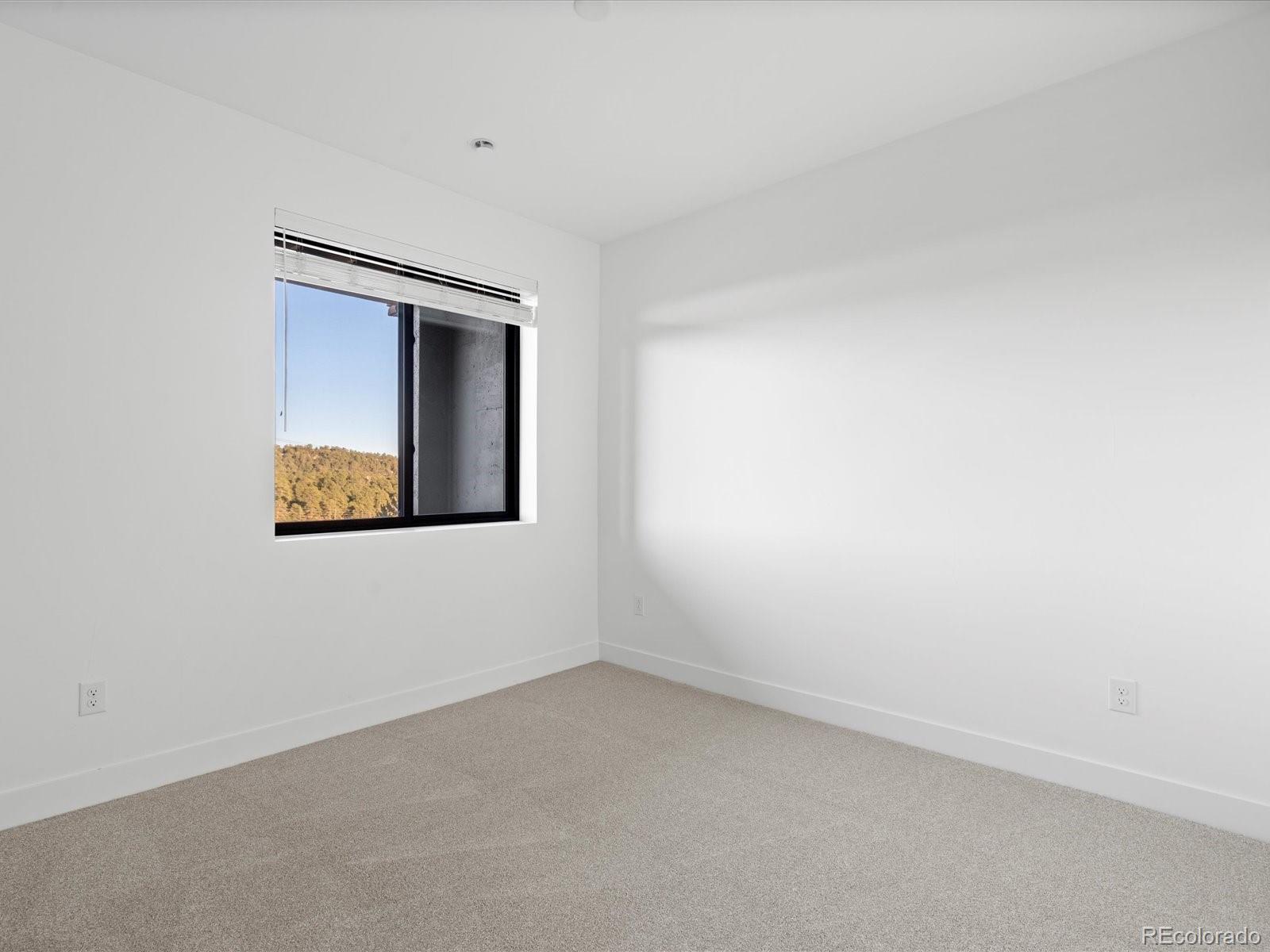 MLS Image #30 for 3909  piney grove street,evergreen, Colorado