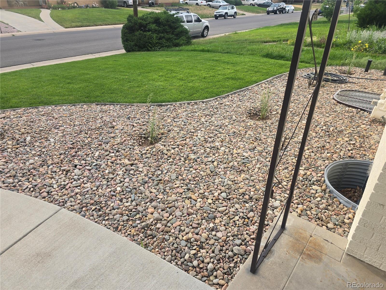 MLS Image #3 for 3540  niagara street,denver, Colorado
