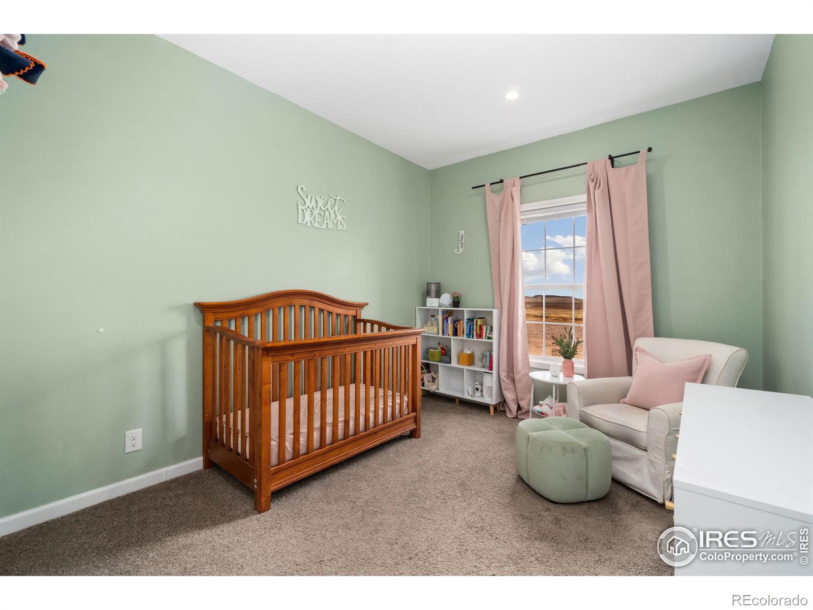 MLS Image #17 for 62223  county road 17 ,carr, Colorado