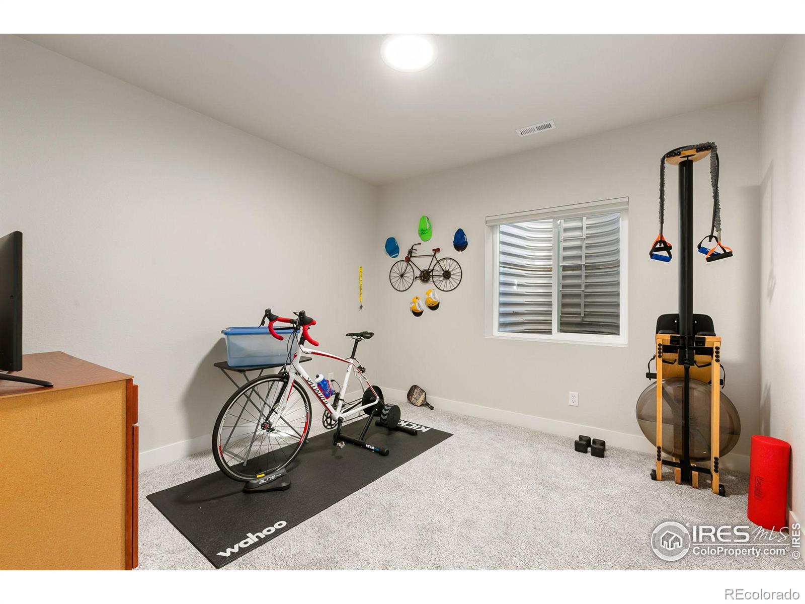 MLS Image #21 for 6001  goodnight avenue,timnath, Colorado